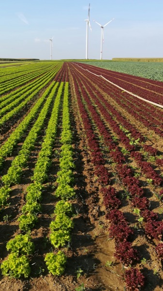 Modern farming landscape with precision agriculture technology
