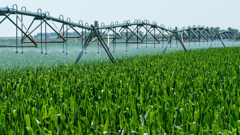 Smart irrigation system in agricultural field
